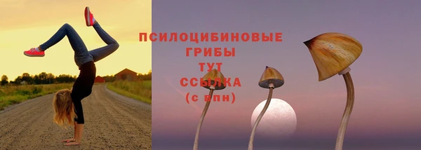 спиды Абинск
