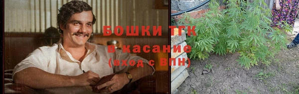 амф Осташков